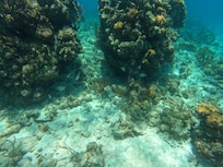 Rum Point 100yds off Rum Point Pier