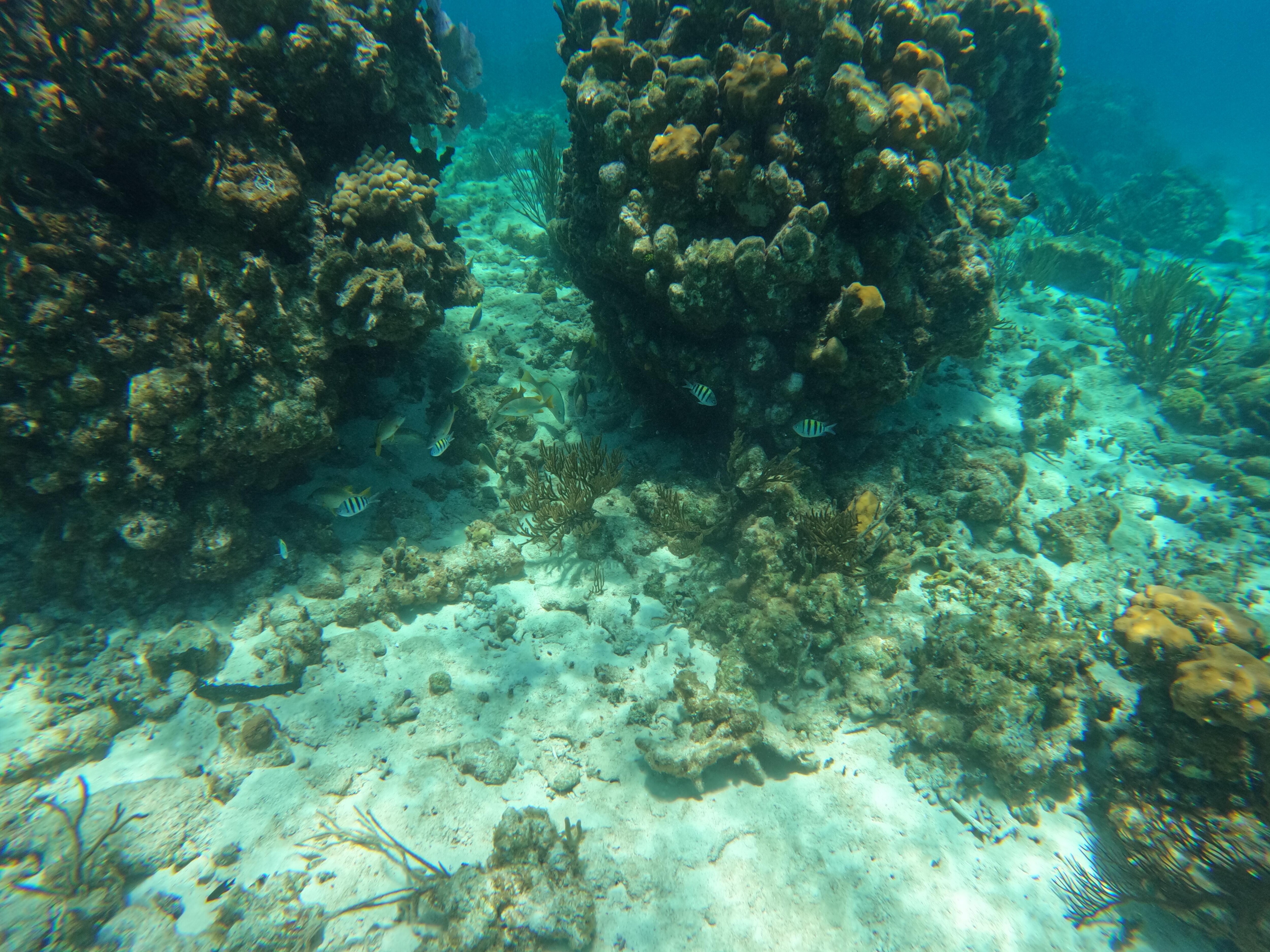 Rum Point 100yds off Rum Point Pier