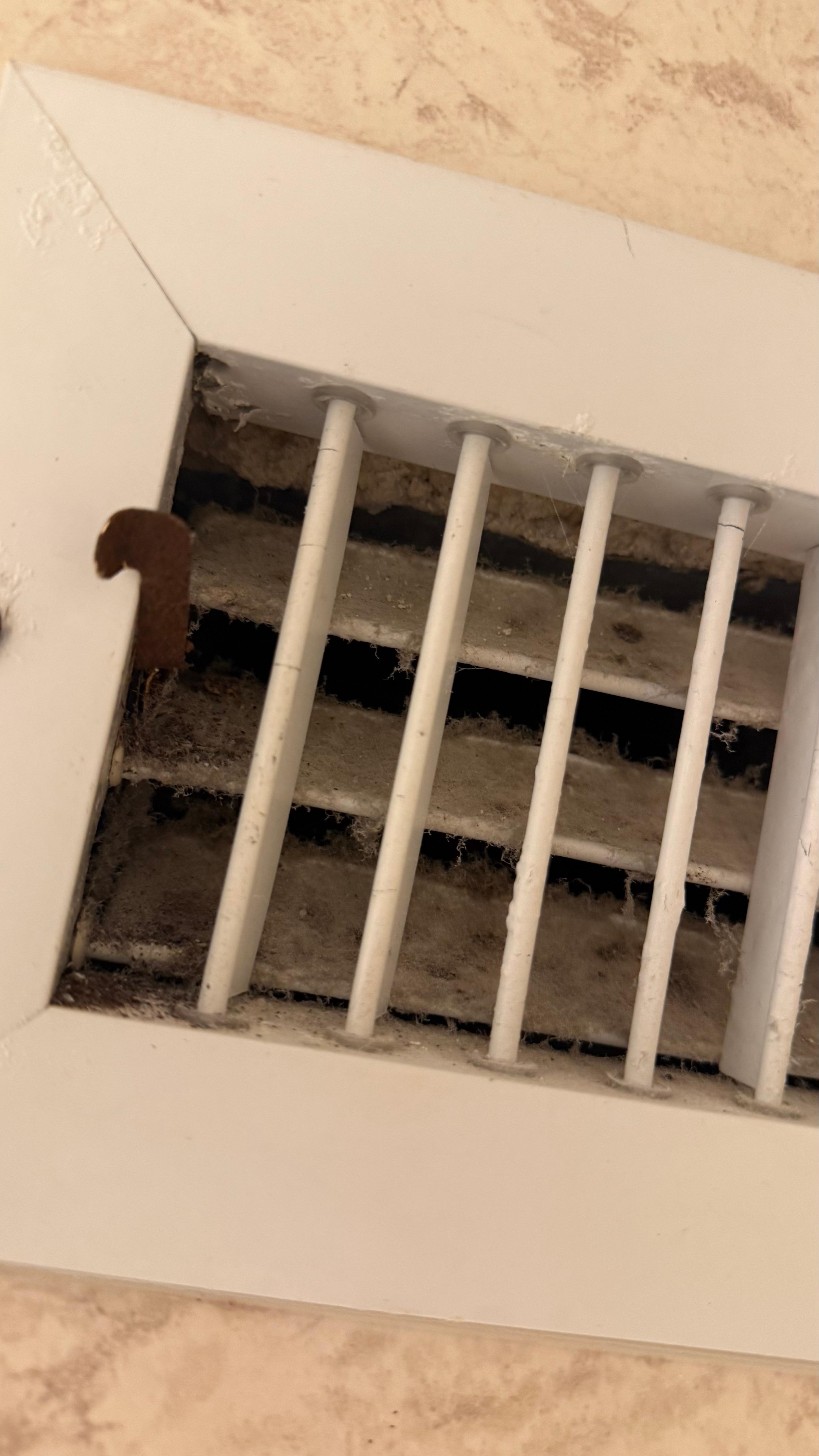 the fan grille in the bathroom is dirty