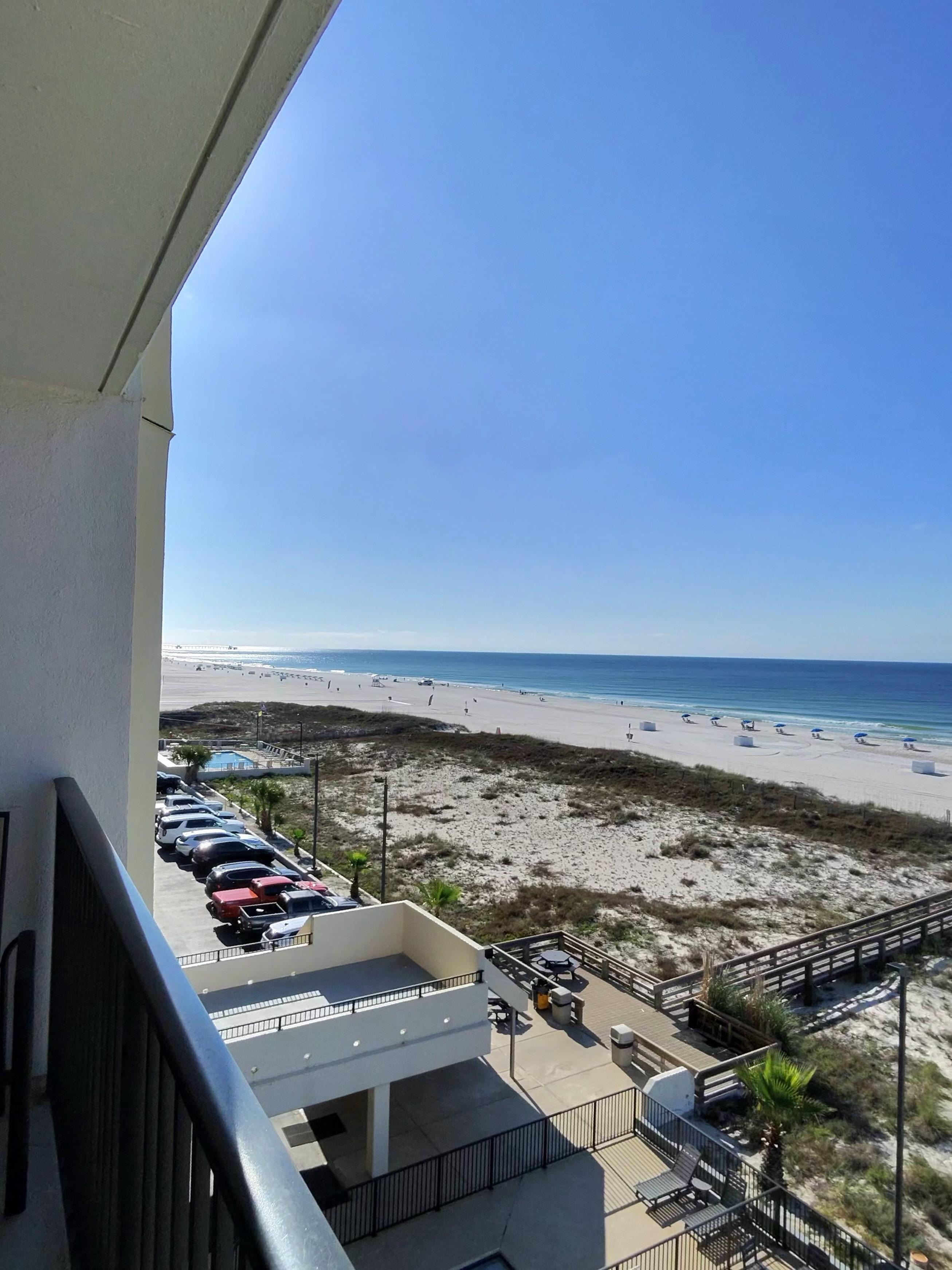 View from the patio! 