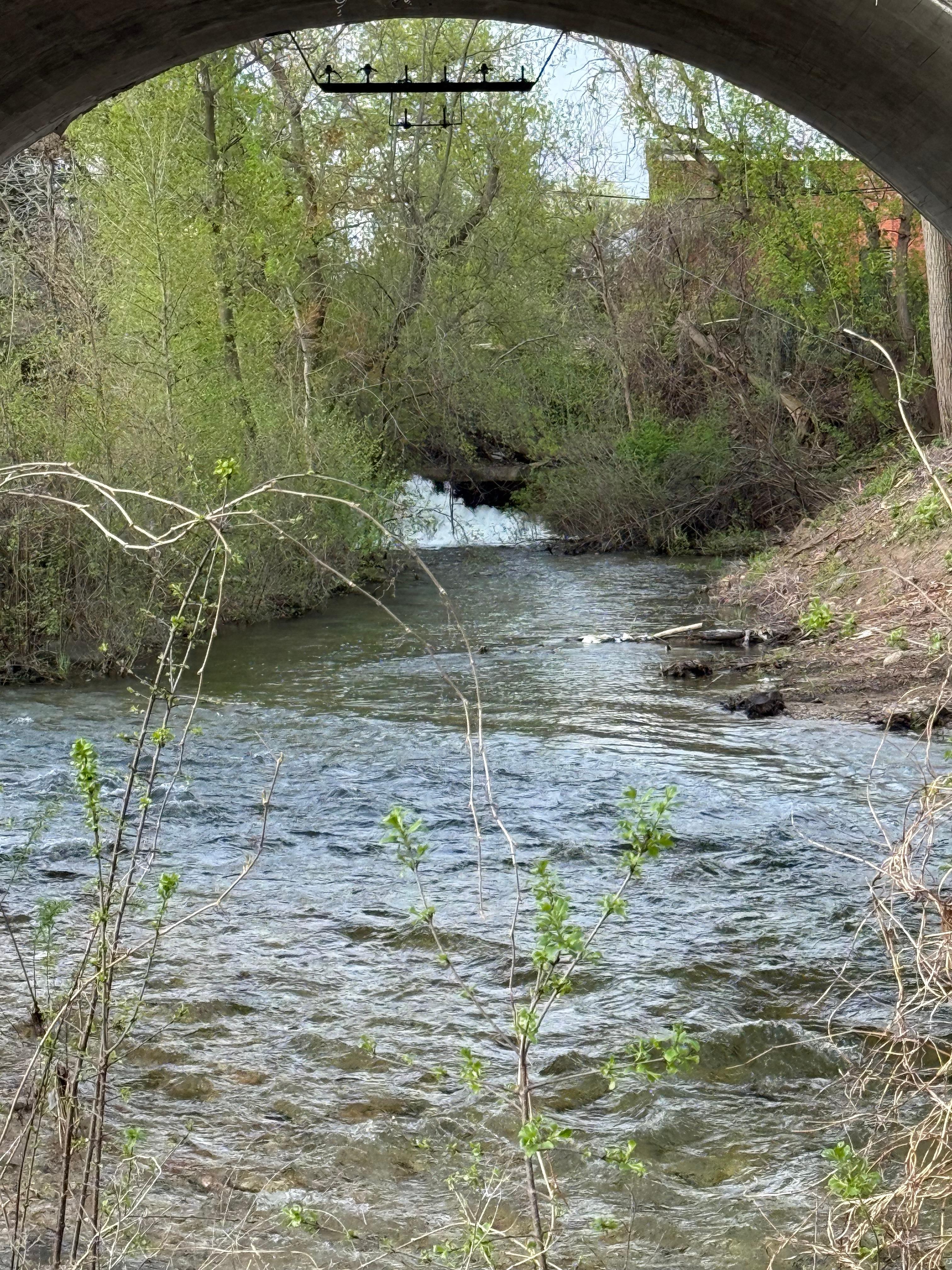 Walking trail to town