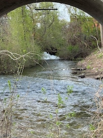 Walking trail to town