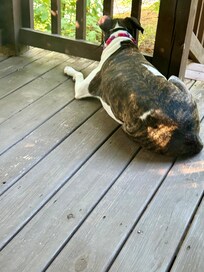 Morning chill time!