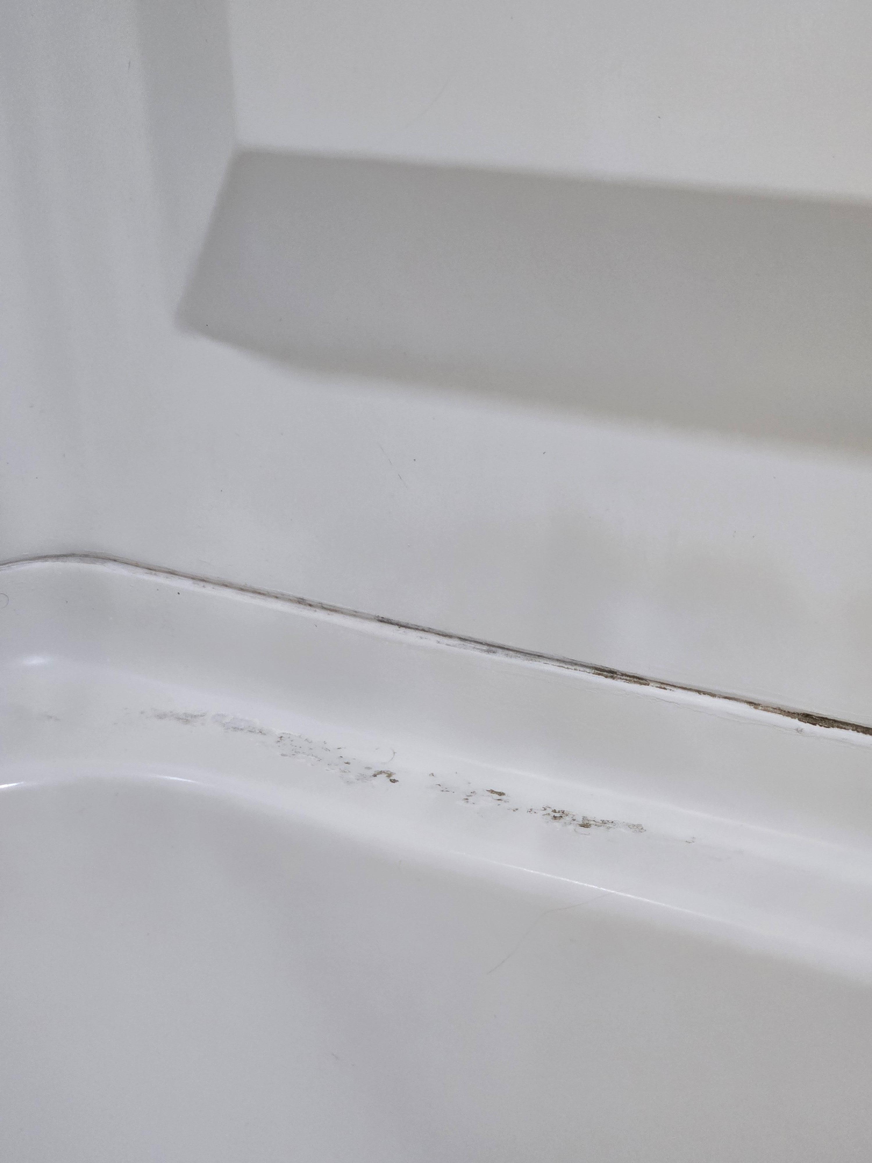 Mold on the tub