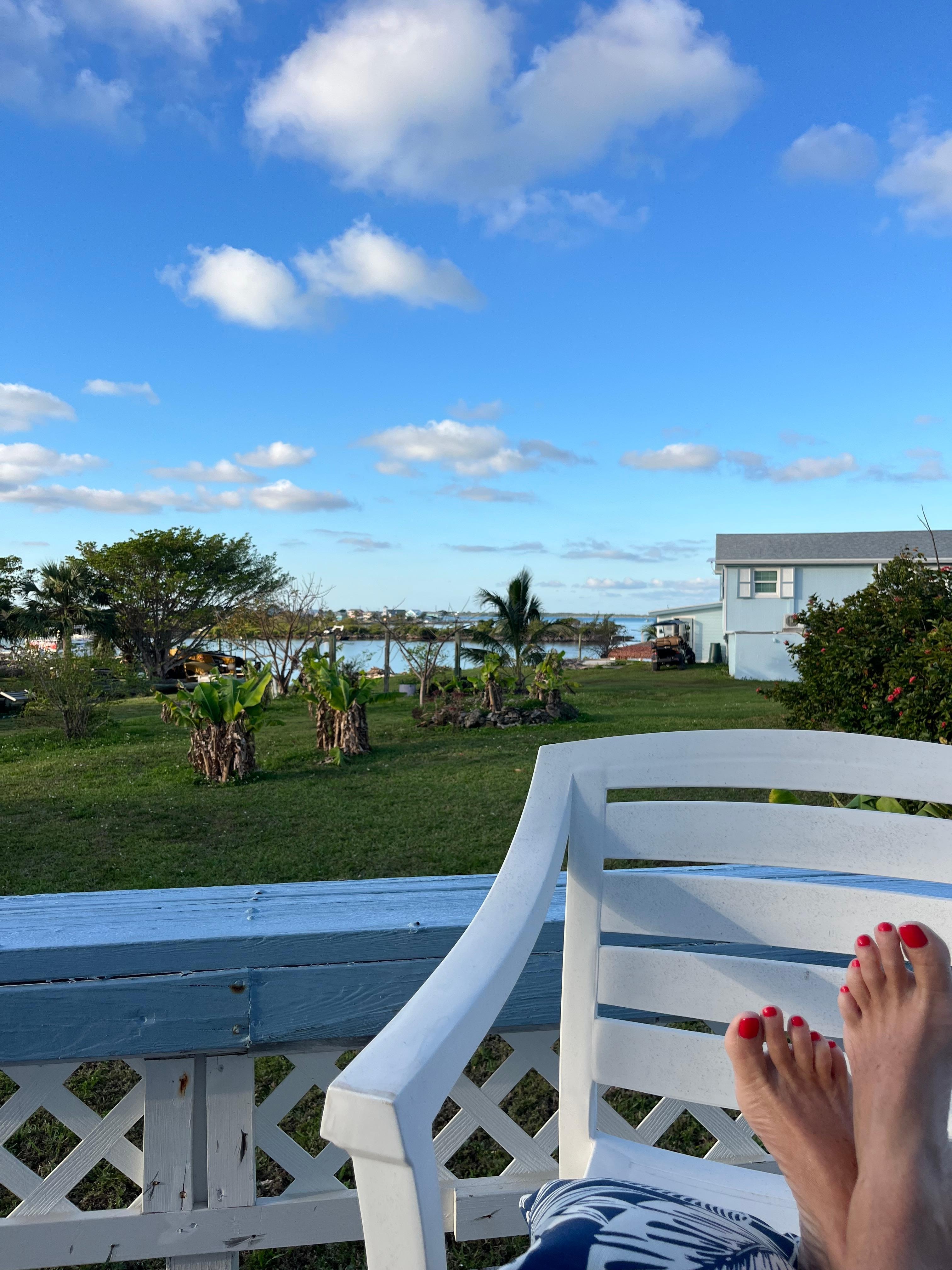 Morning coffee view!