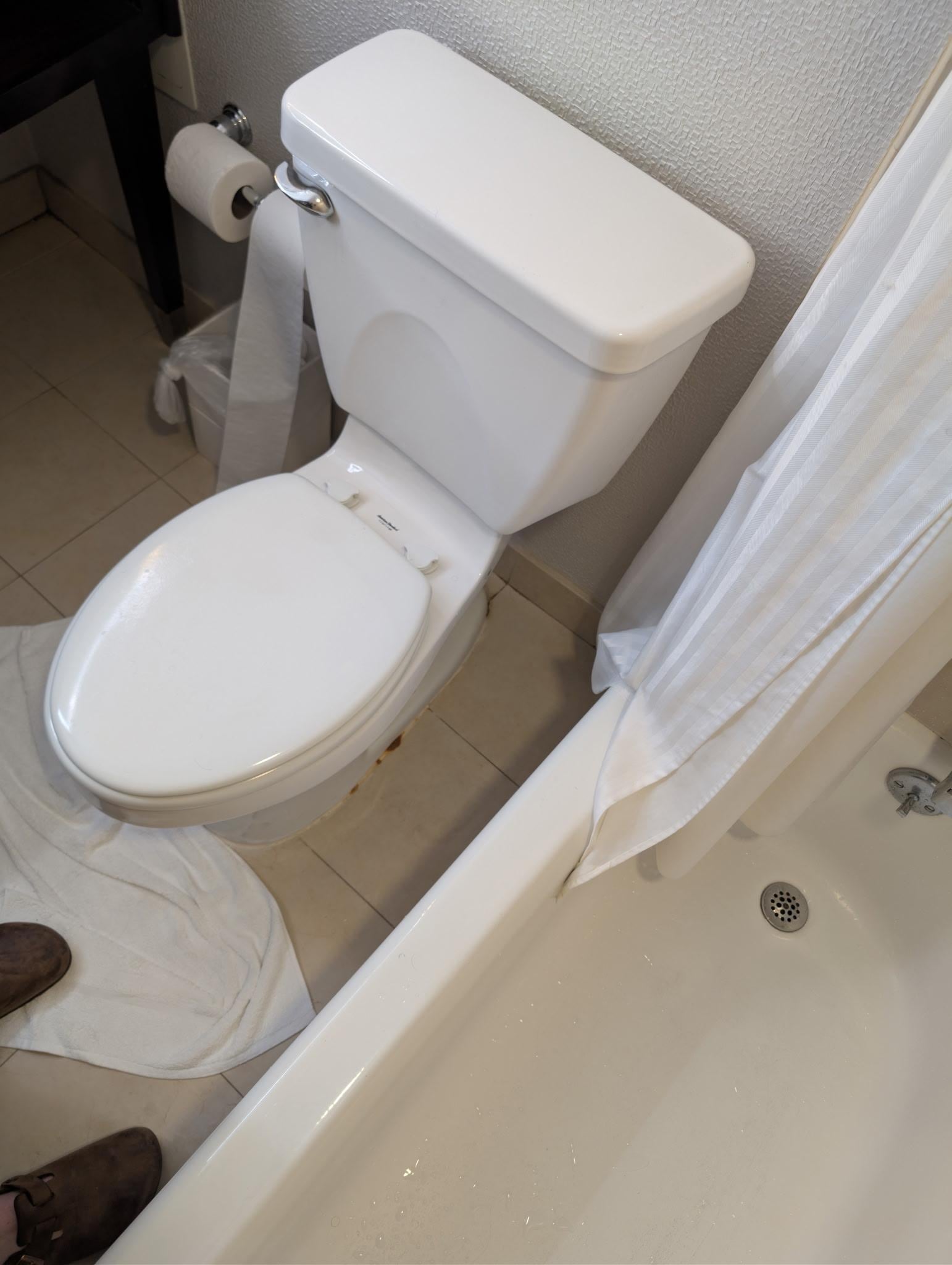 Dried poop between toilet and tub.