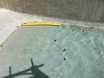 Not a pool you’d expect at a 5-star hotel