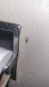 On the bathroom wall
