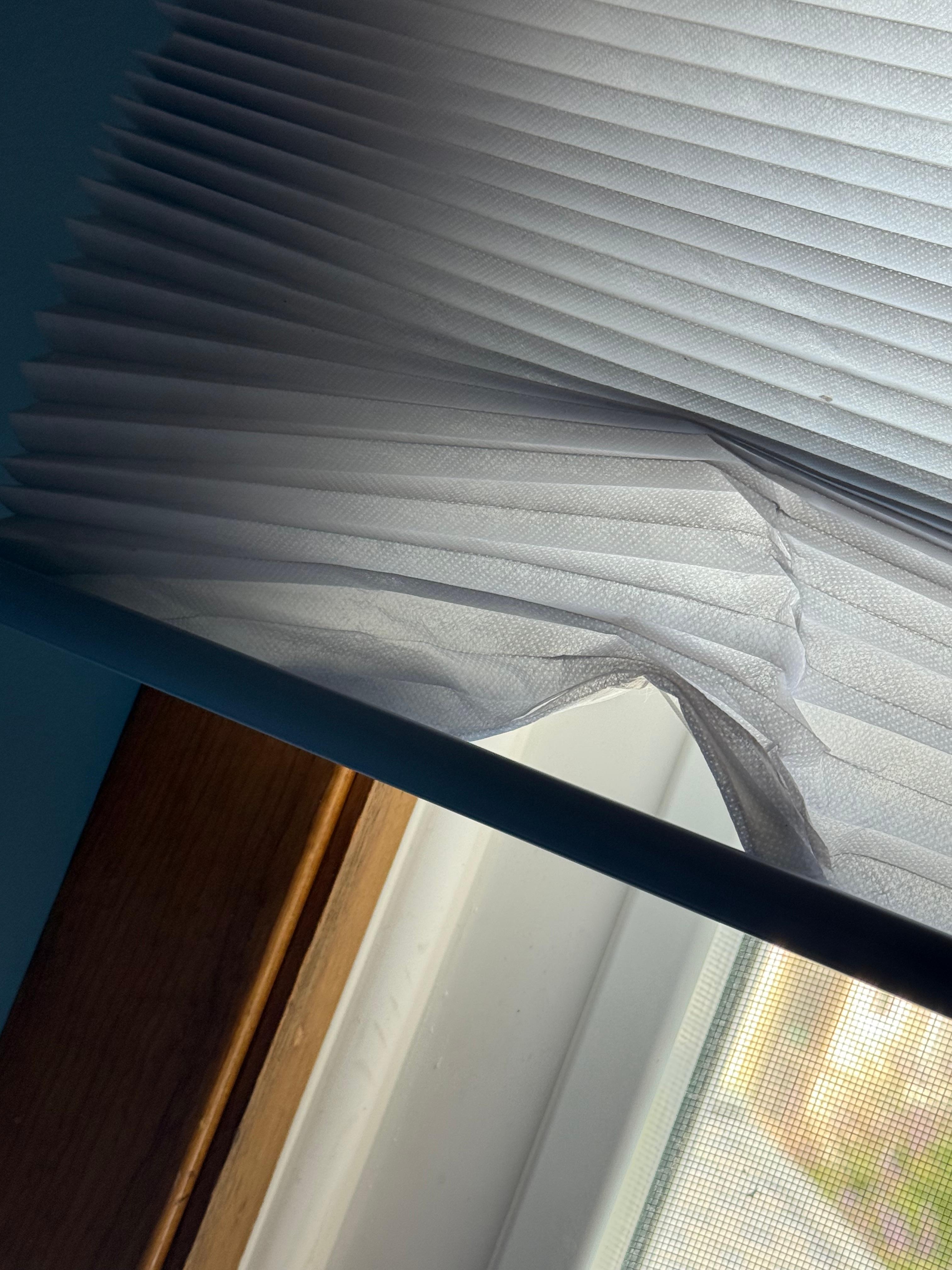 Broken or damaged blinds. I can only put up a few photos, but there are more their damage, broken or missing.