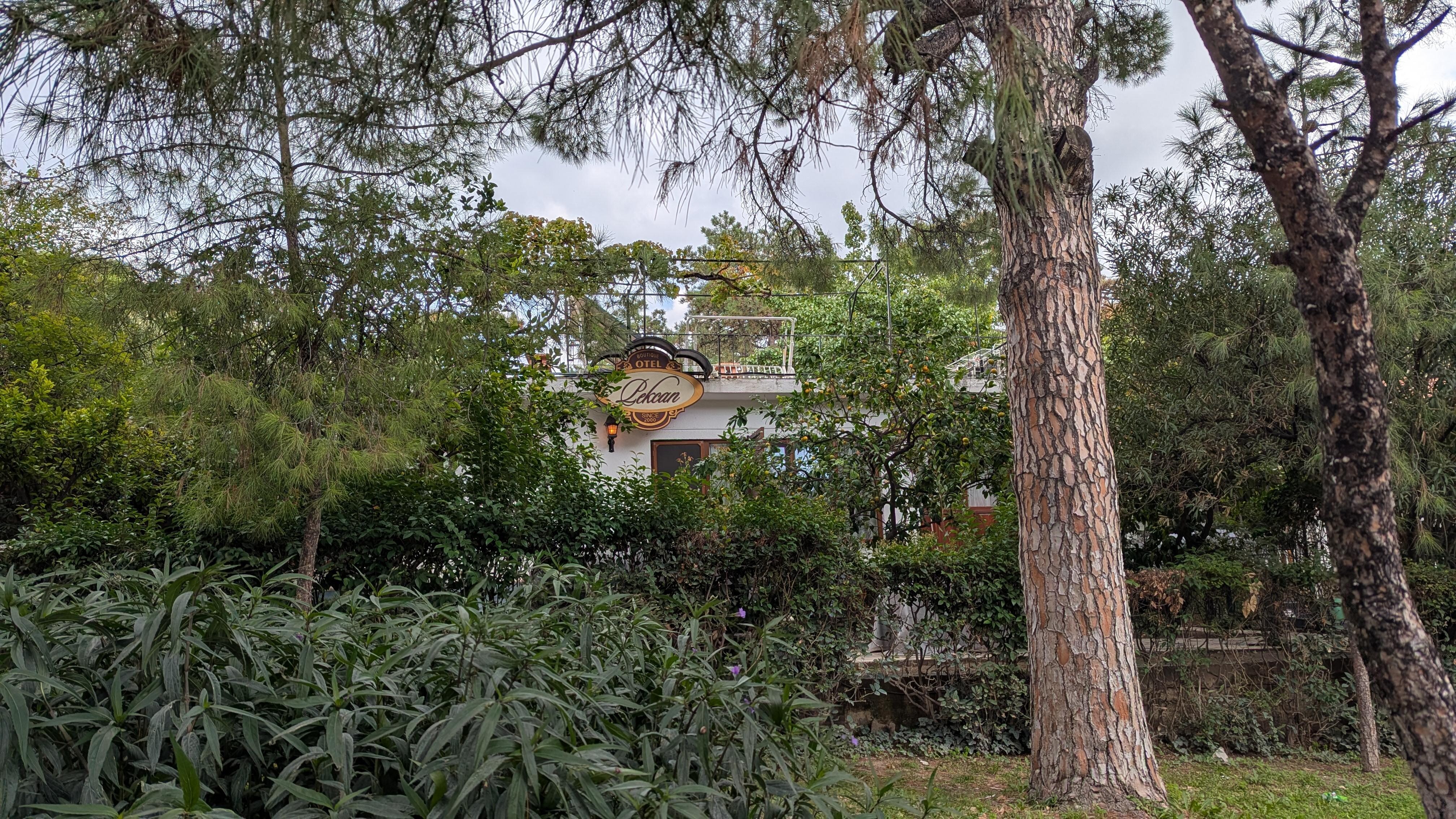 View from the pedestrian walkway 