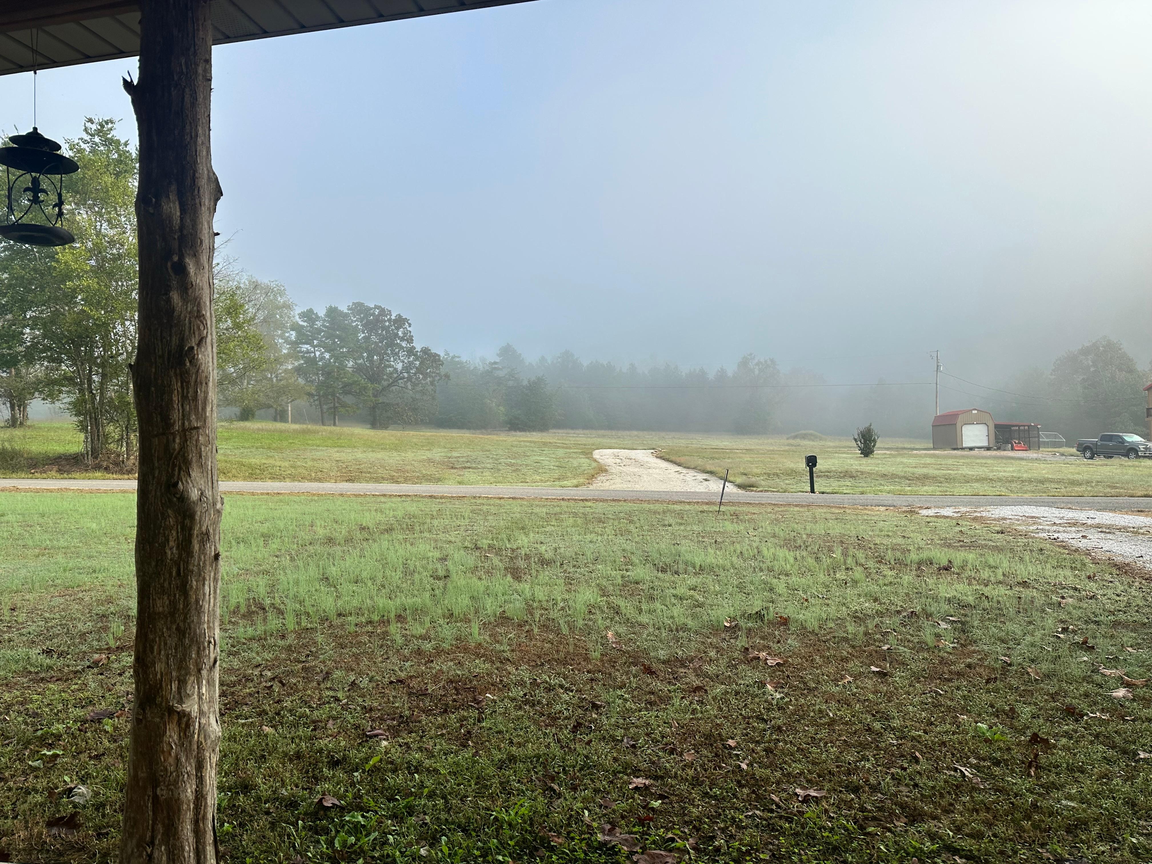 Front porch morning view 