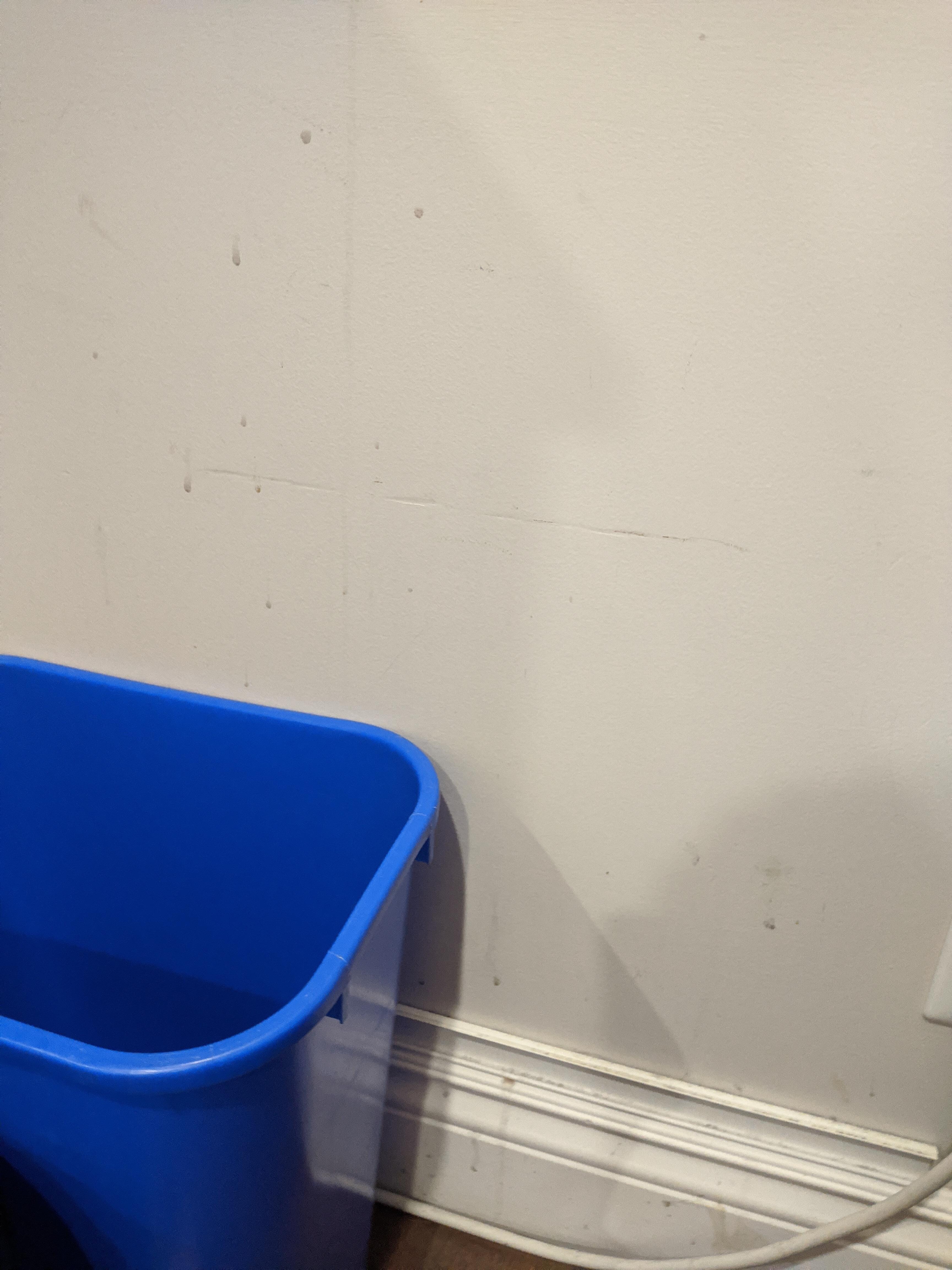 Stains not just down the walls by the garbage but all over the main walls 