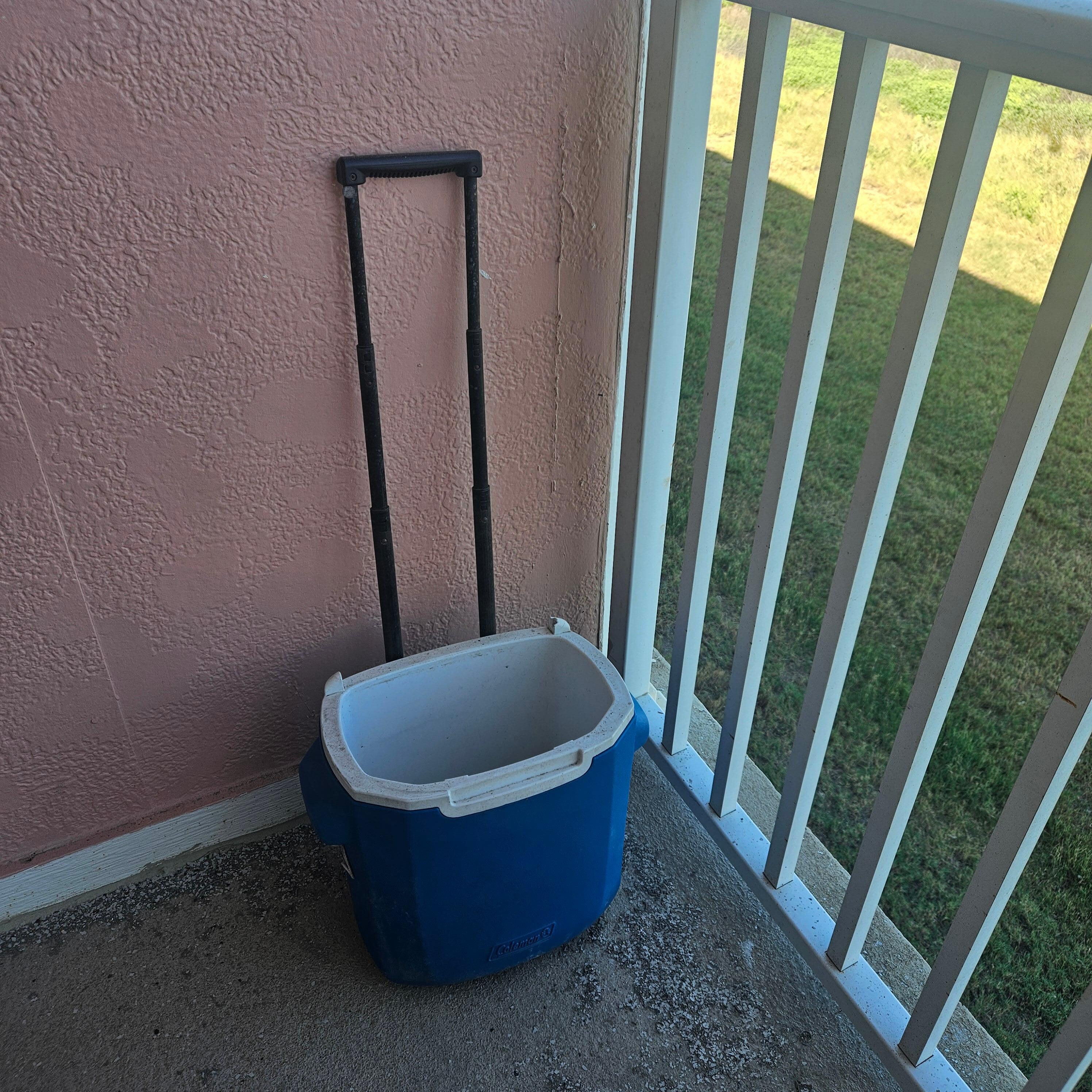 Someone must have left this...🤷‍♀️