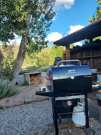 Grill is almost brand new