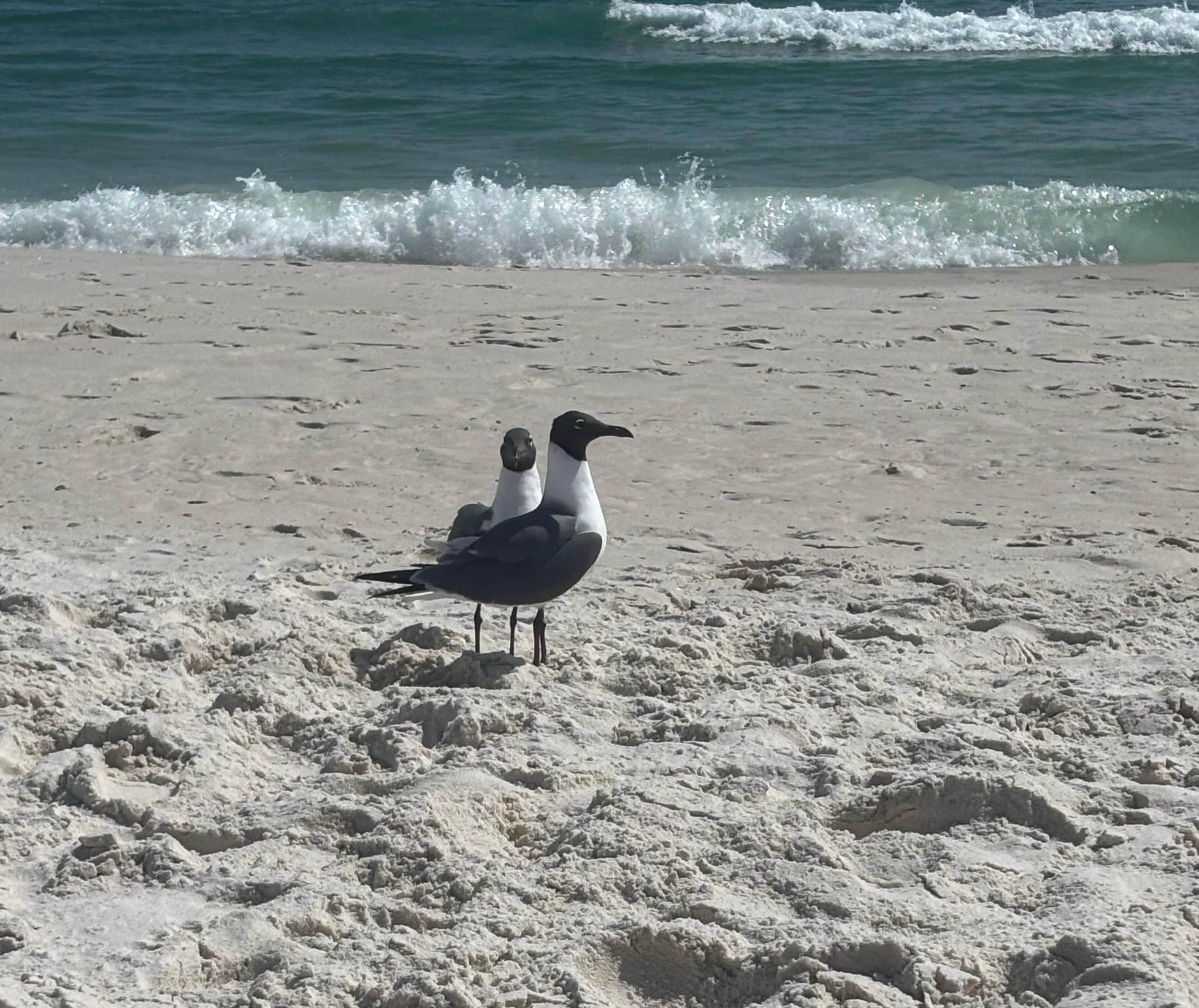 Friends at the beach. 