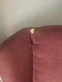 Ripped furniture