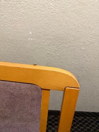 Roaches on chair.