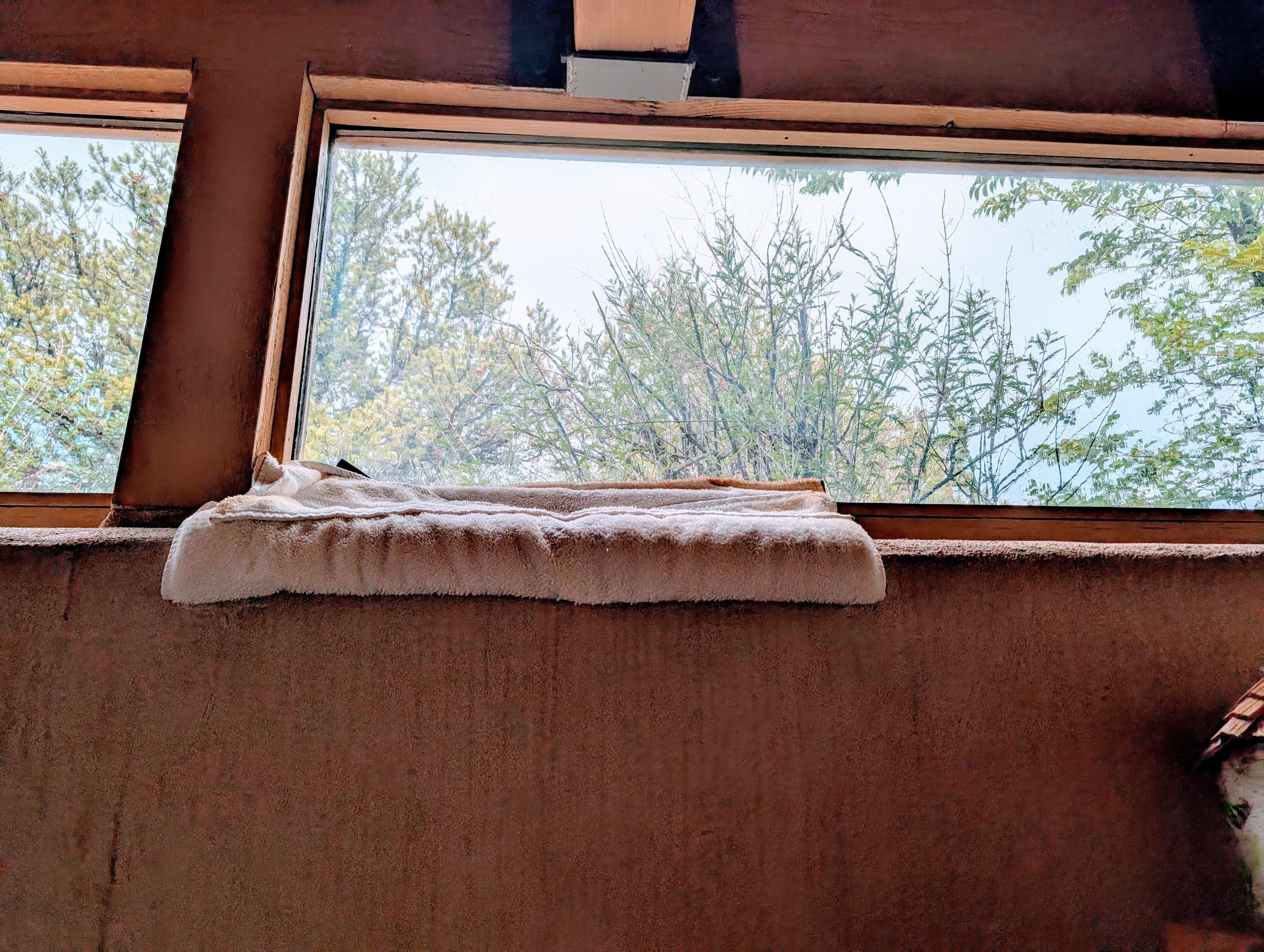 Old towel, supposed to catch the rain. Moldy.