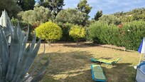 Schöner Garten