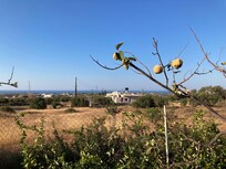 View from my terrace down to the sea