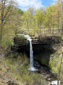 Carpenter Falls