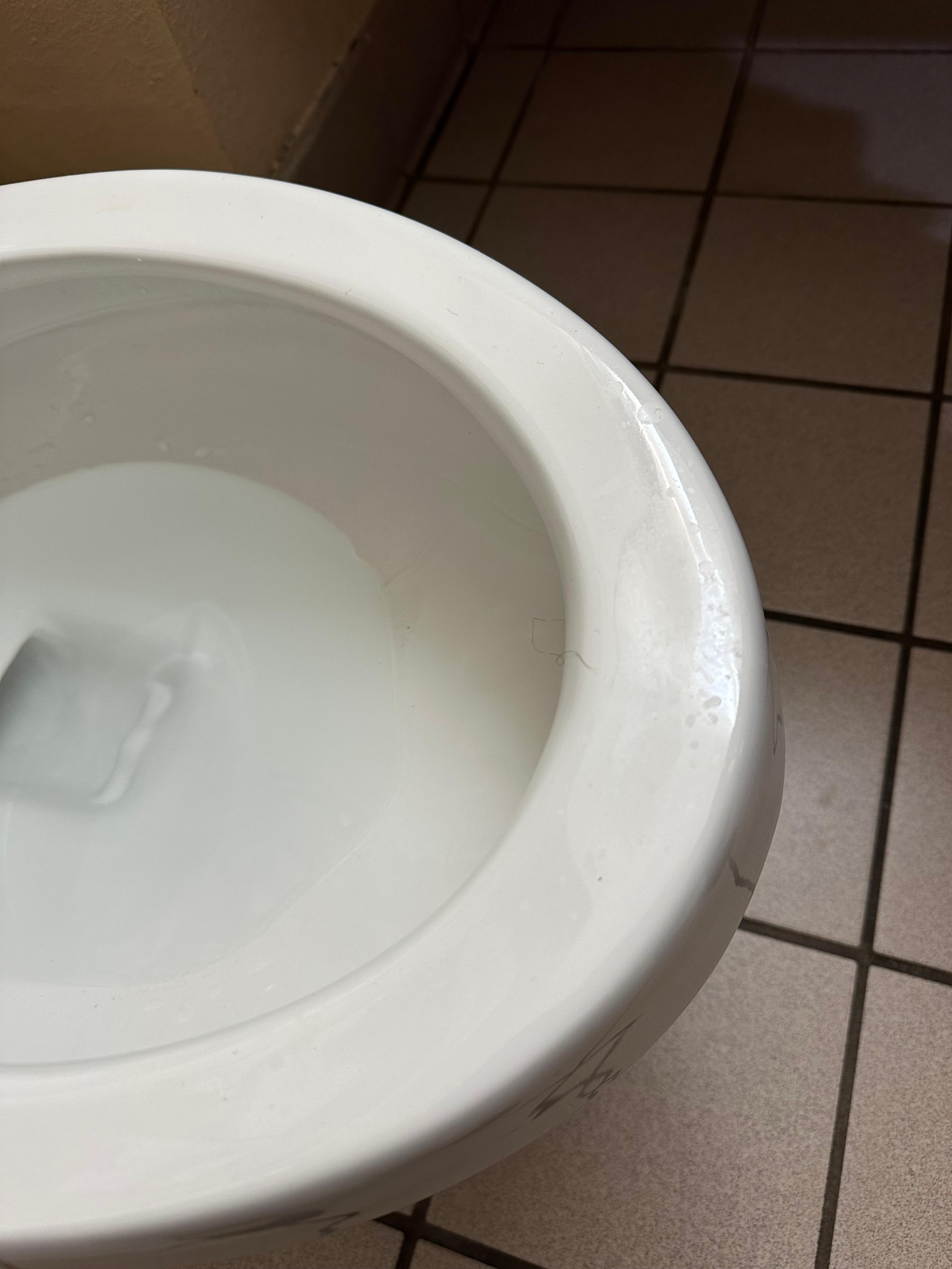 I wish I could upload the video.