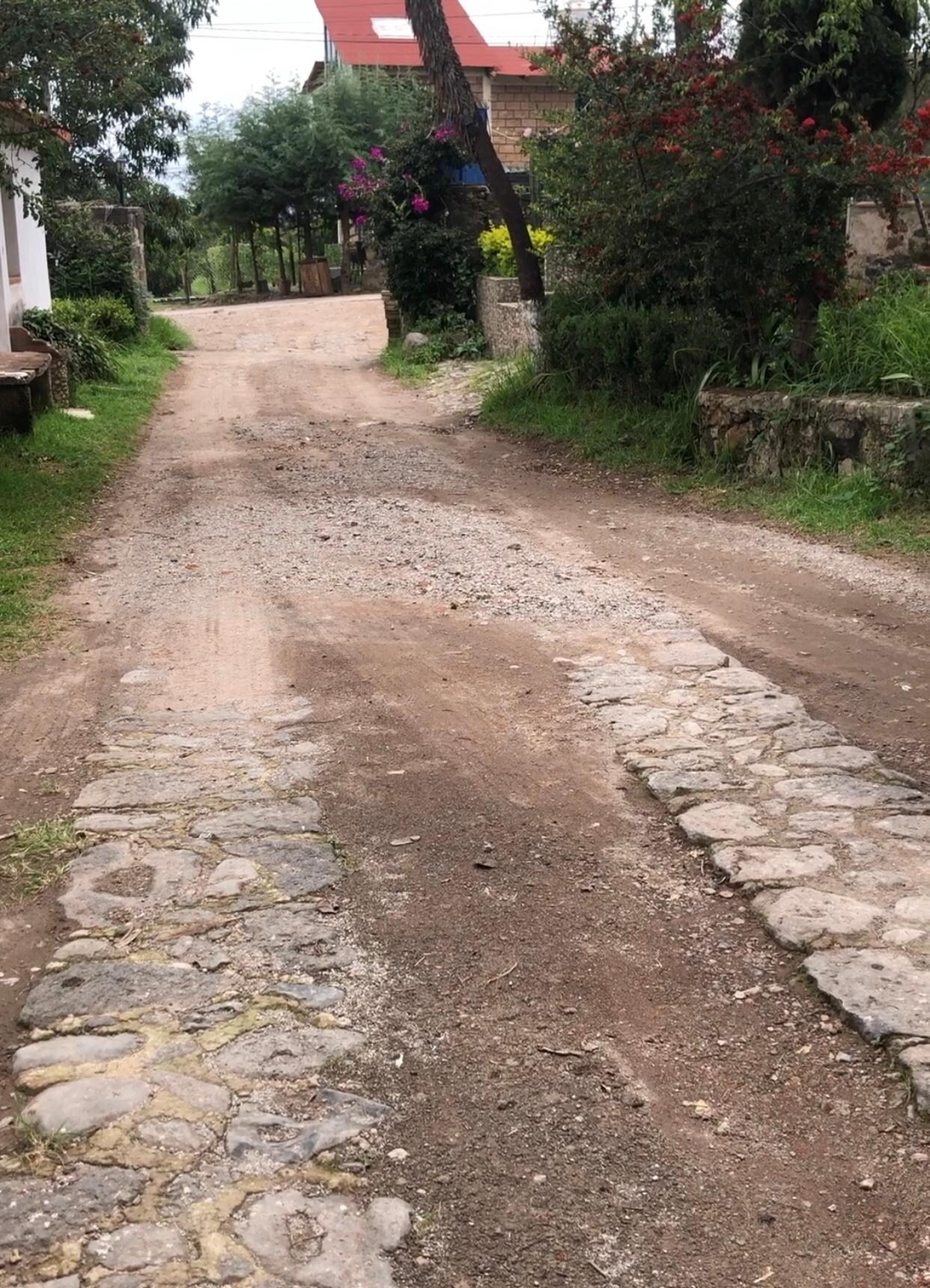 La entrada