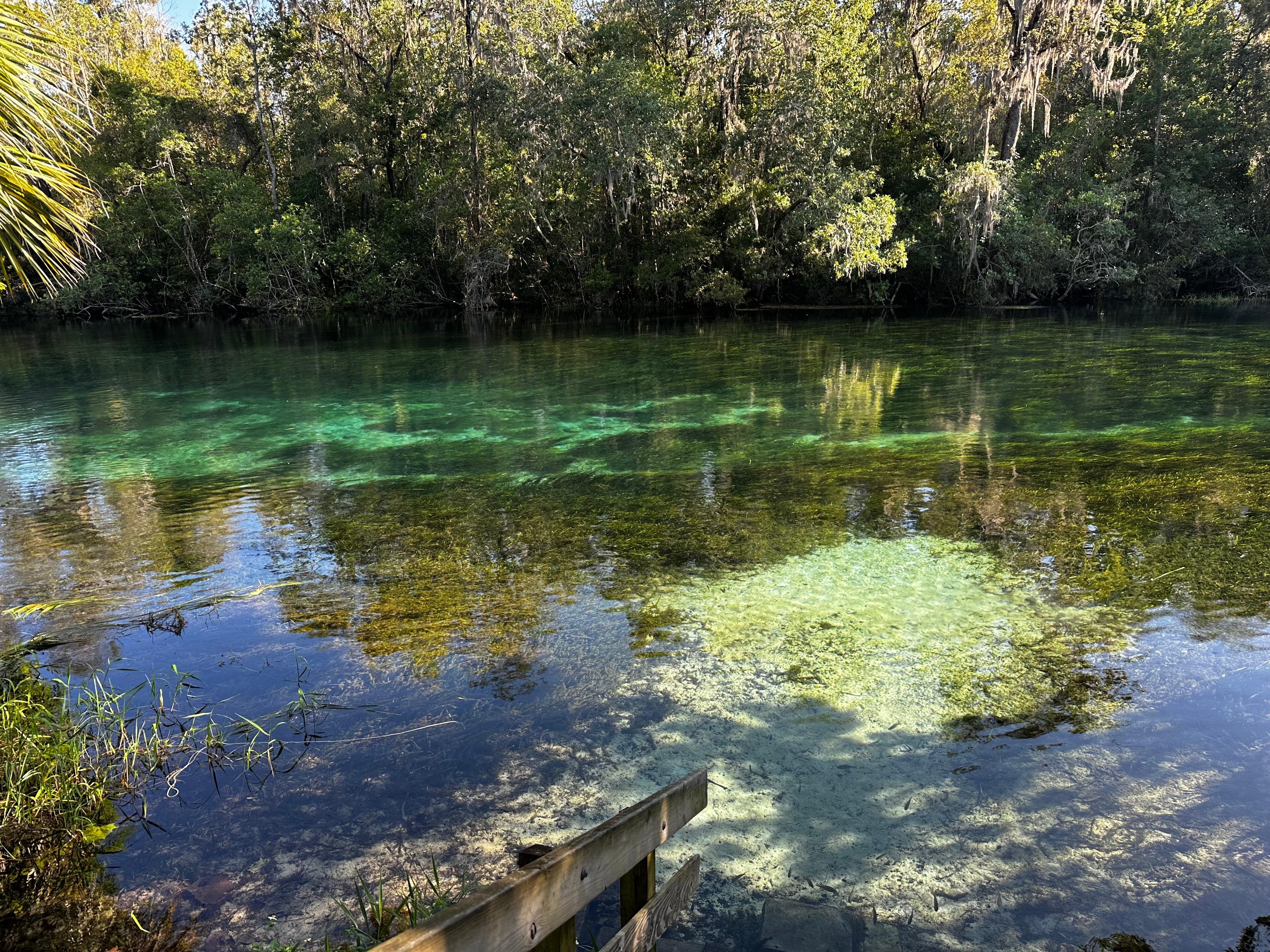 View of river from the Flip Flop Inn backyard and steps for entering the river.