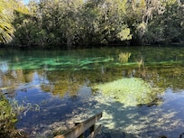 View of river from the Flip Flop Inn backyard and steps for entering the river.