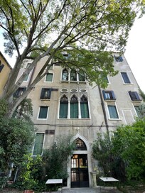 View from the garden