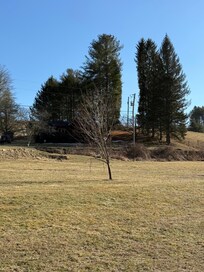 Looking from the river back up to the house. Can can sit on the front porch and see the river as well.