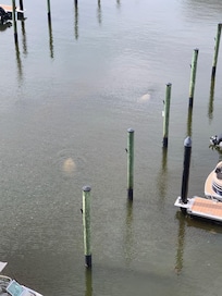 Great view of the marina. We watched the manatees from our balcony.