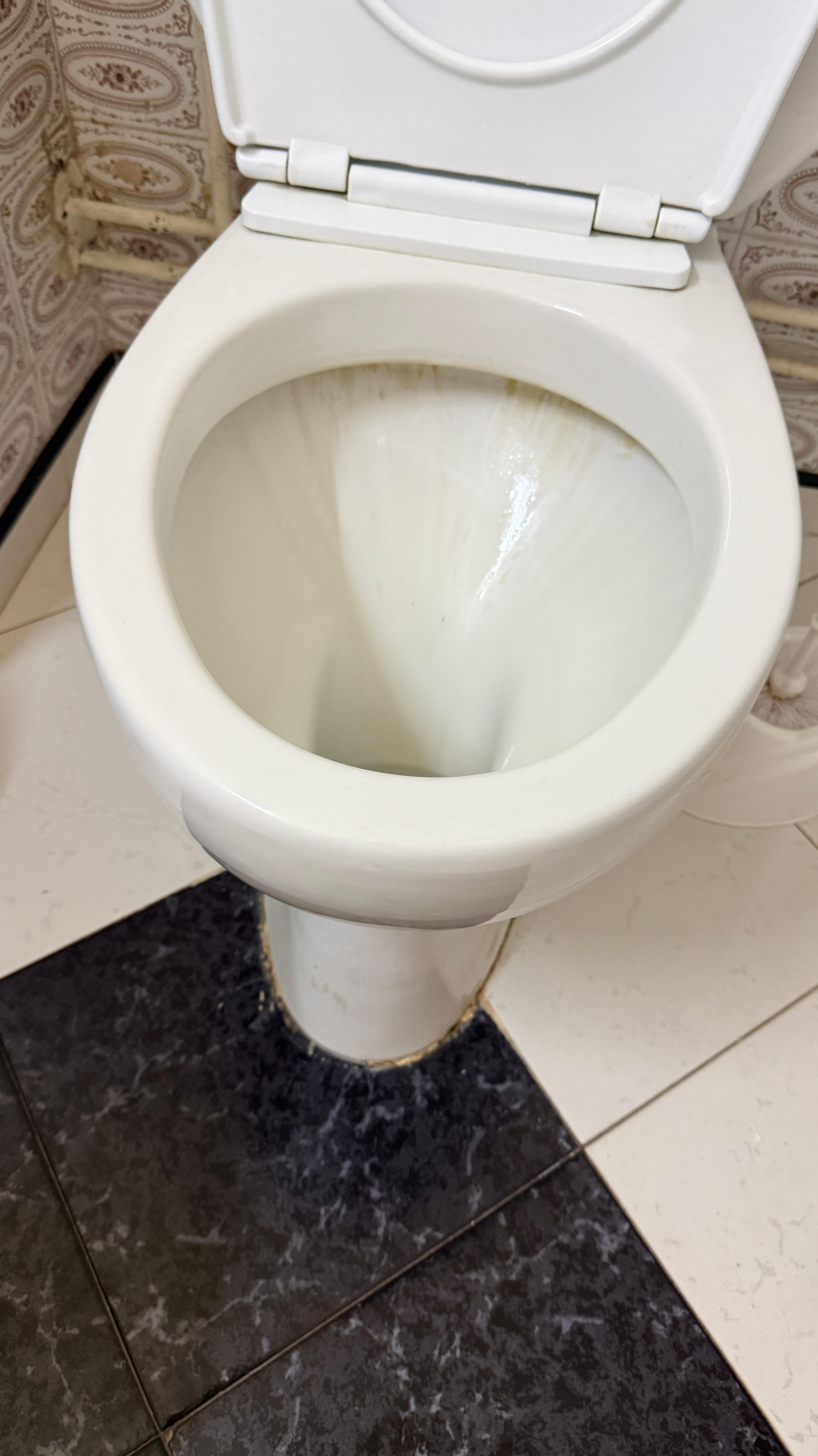 Toilet seat had brown marks inside