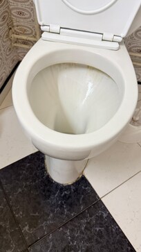Toilet seat had brown marks inside