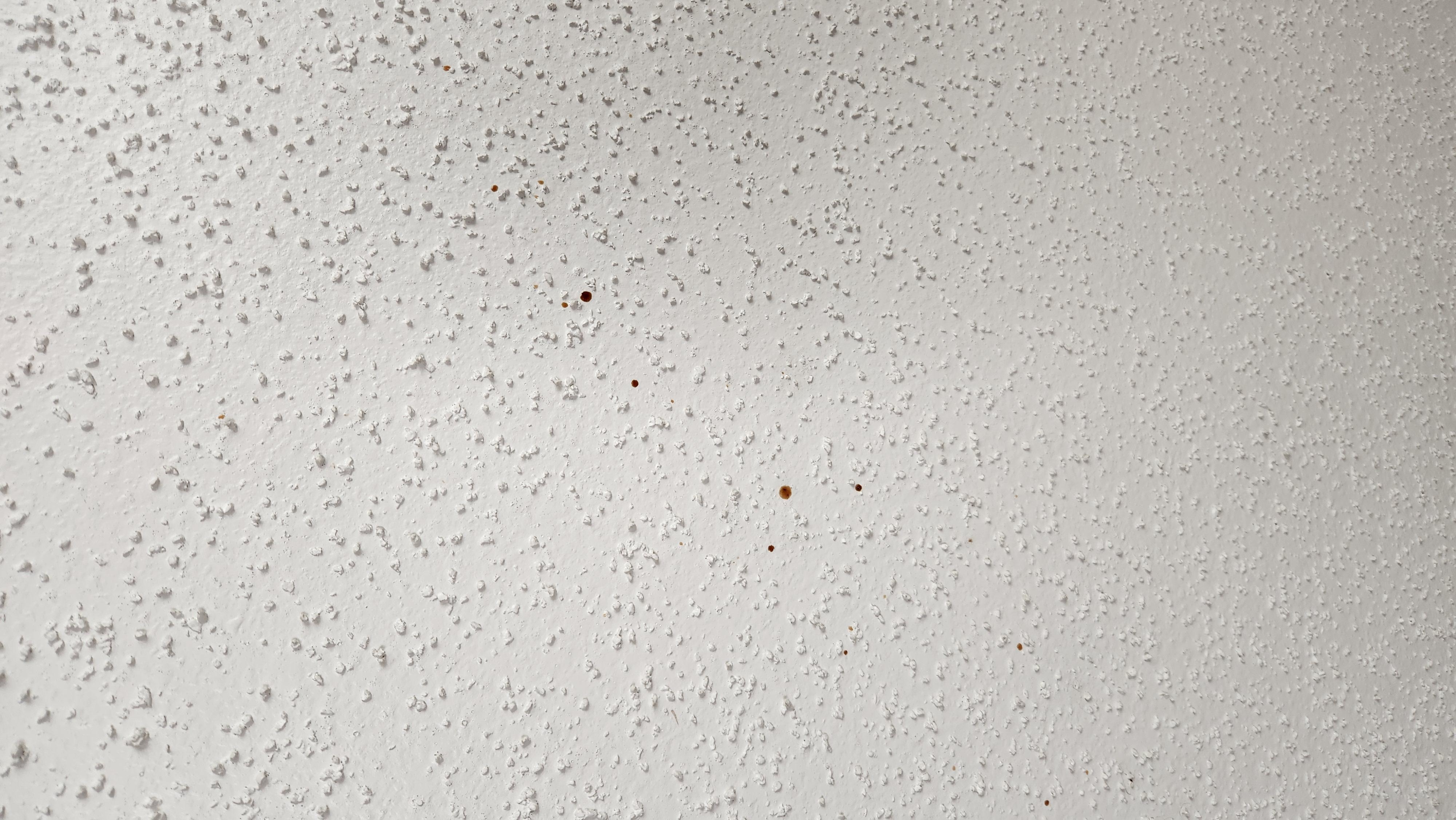 Random splatter all over the ceiling. Might or might not be of human origin, but it was everywhere on the ceiling. Was definitely not rust.