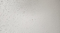 Random splatter all over the ceiling. Might or might not be of human origin, but it was everywhere on the ceiling. Was definitely not rust.