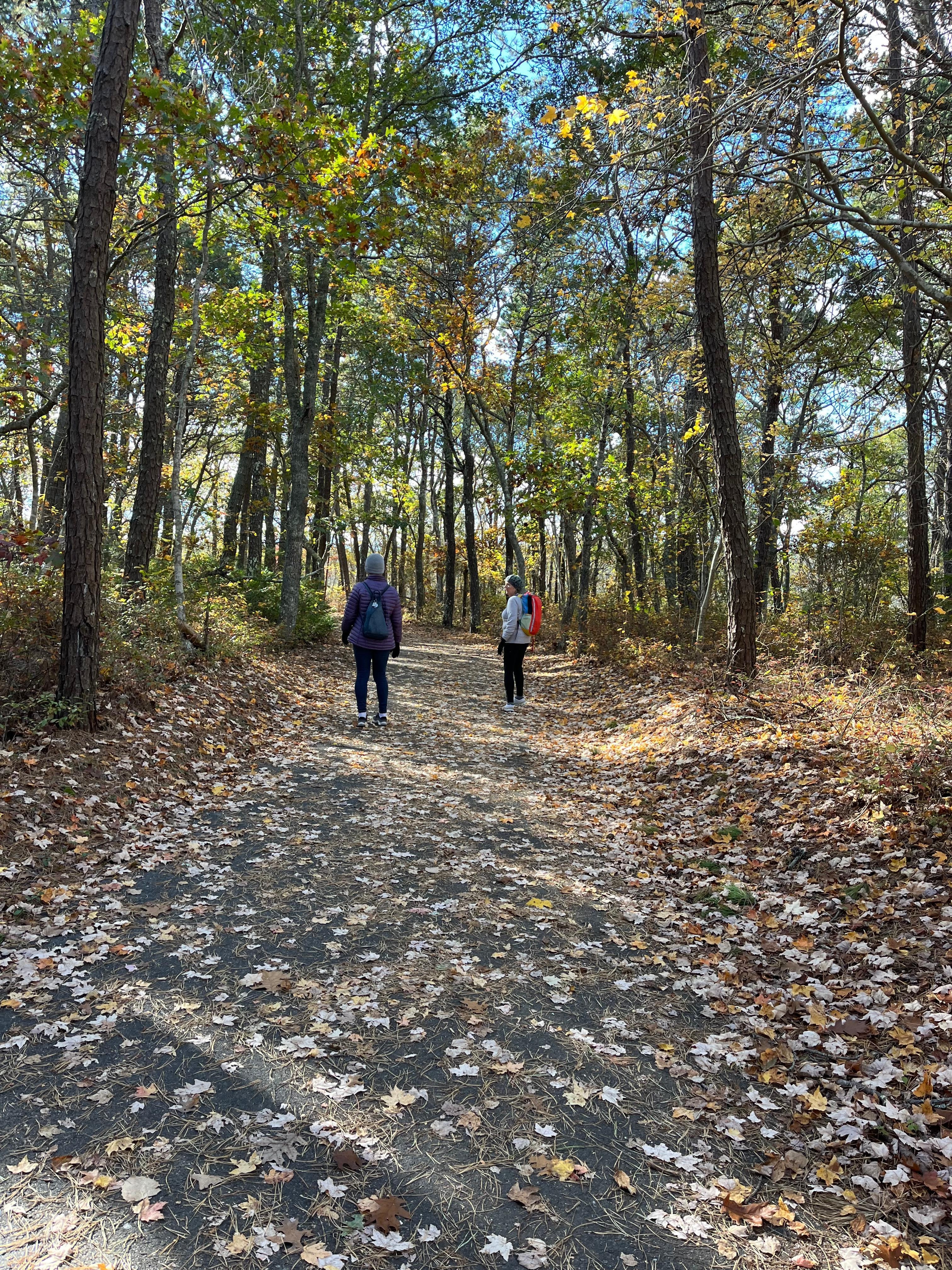Walking the bike path at Province Lands