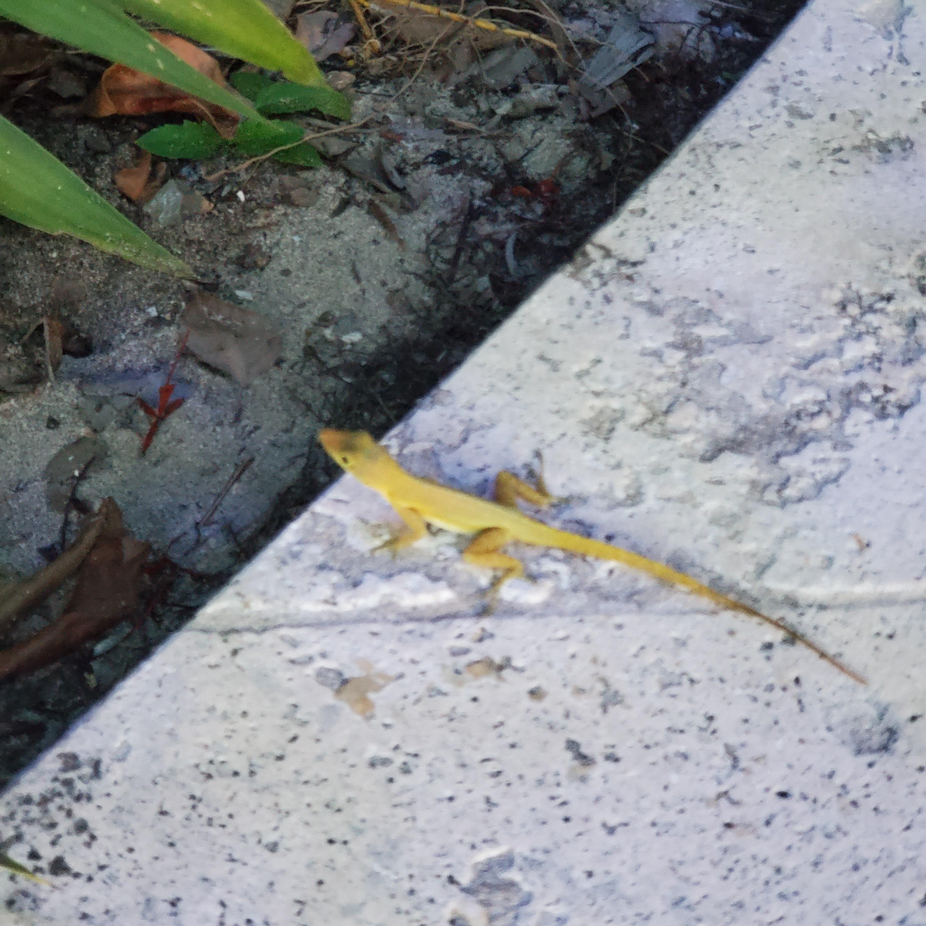 One of the neighbors for the week