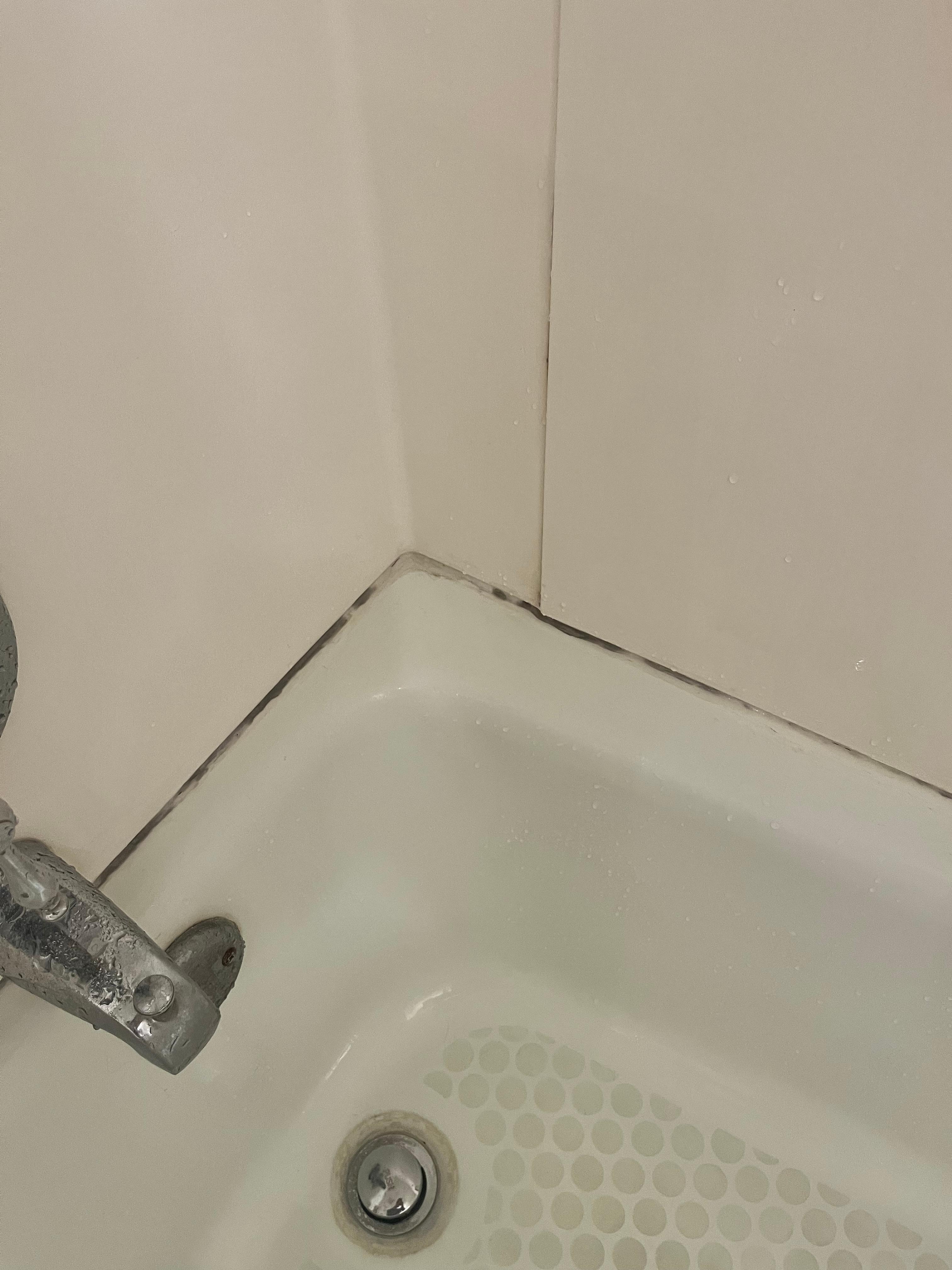 Looks like mold growing around