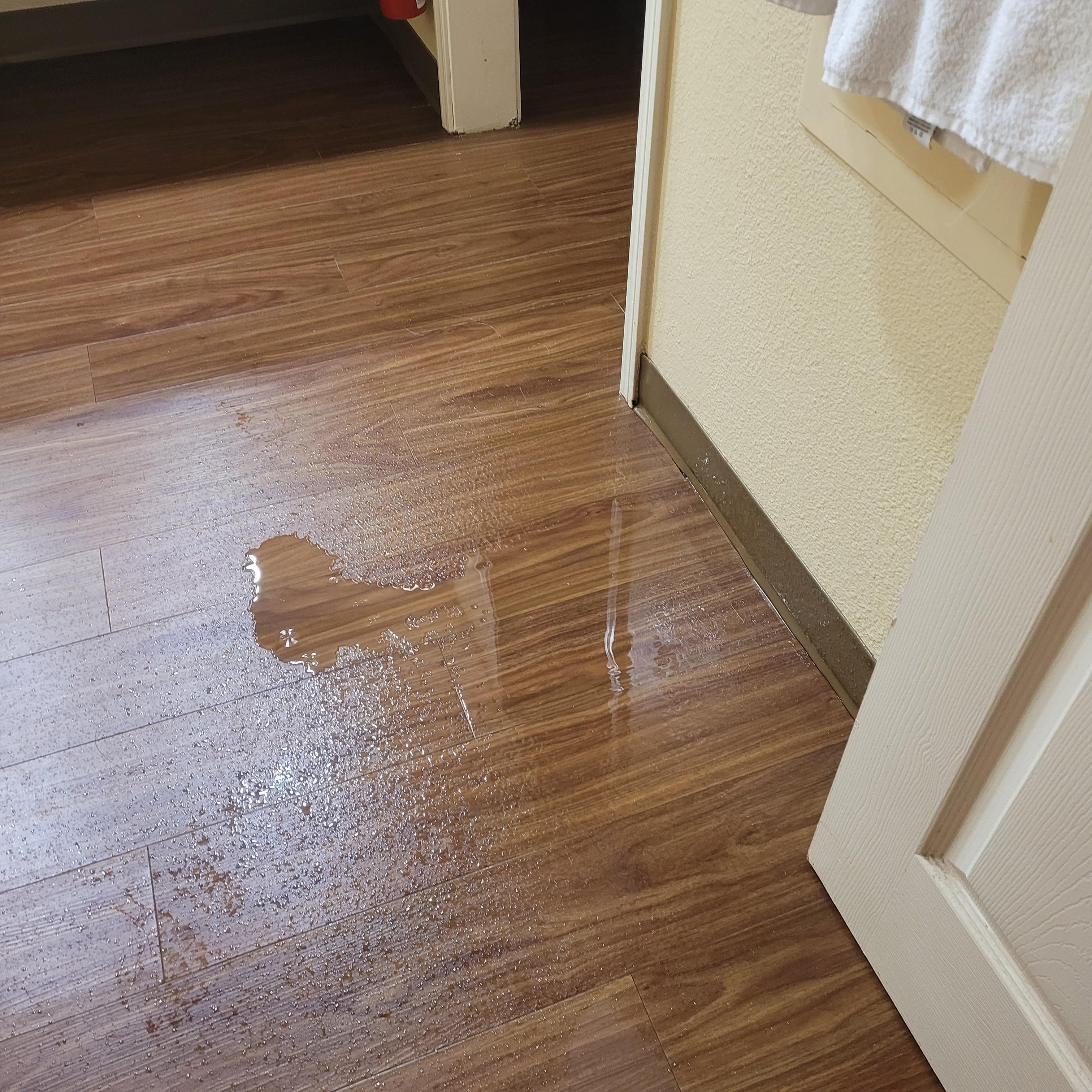 Water on floor from A/C leak.  Glad I saw it before We fell!