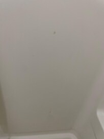 Stains on shower wall
