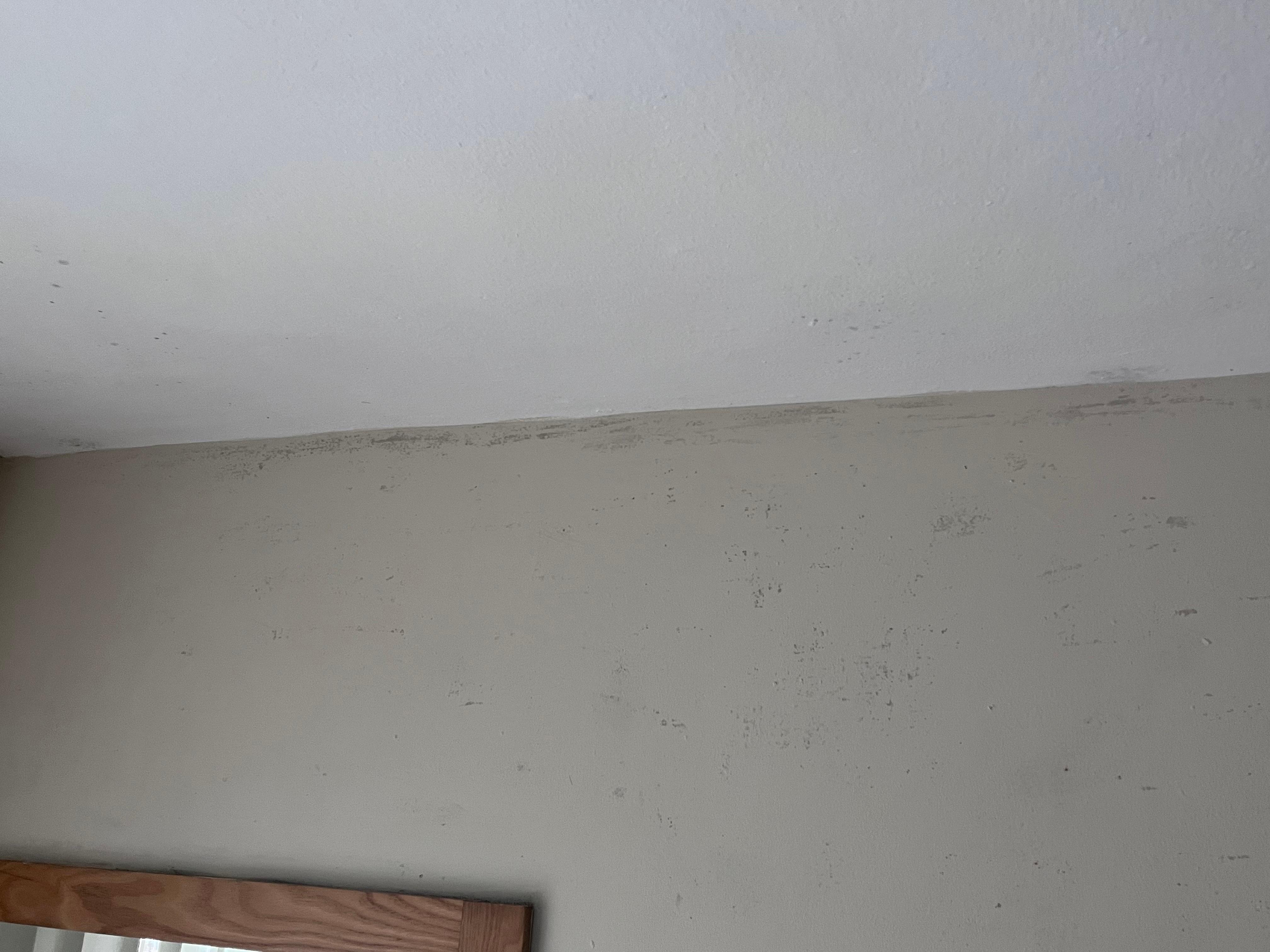 Schimmel auf der Wand - gegenüber vom Bett