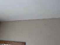 Schimmel auf der Wand - gegenüber vom Bett