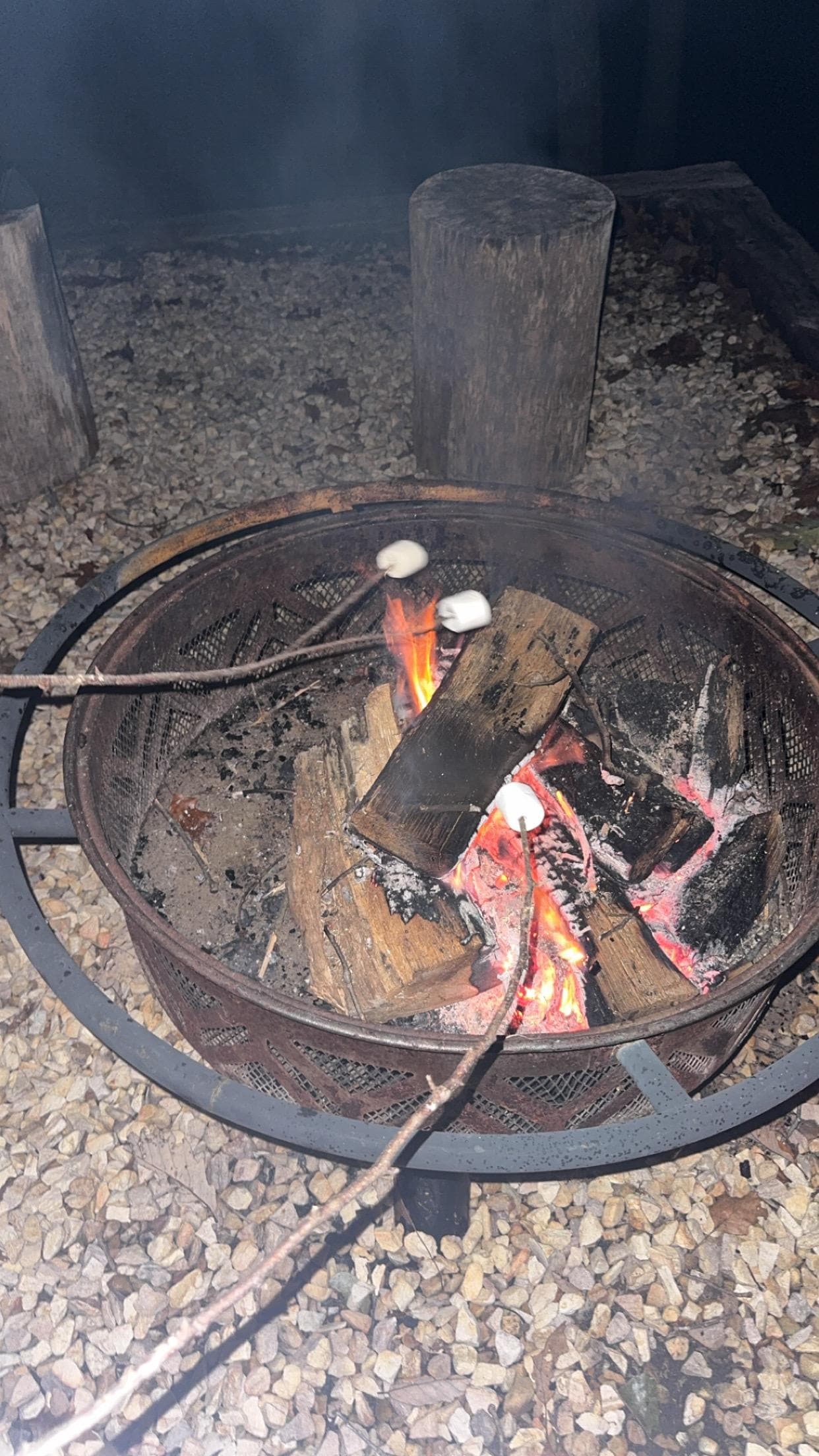 Making smores thanks to fire starter provided
