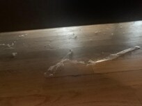Dirty floors bedroom 2