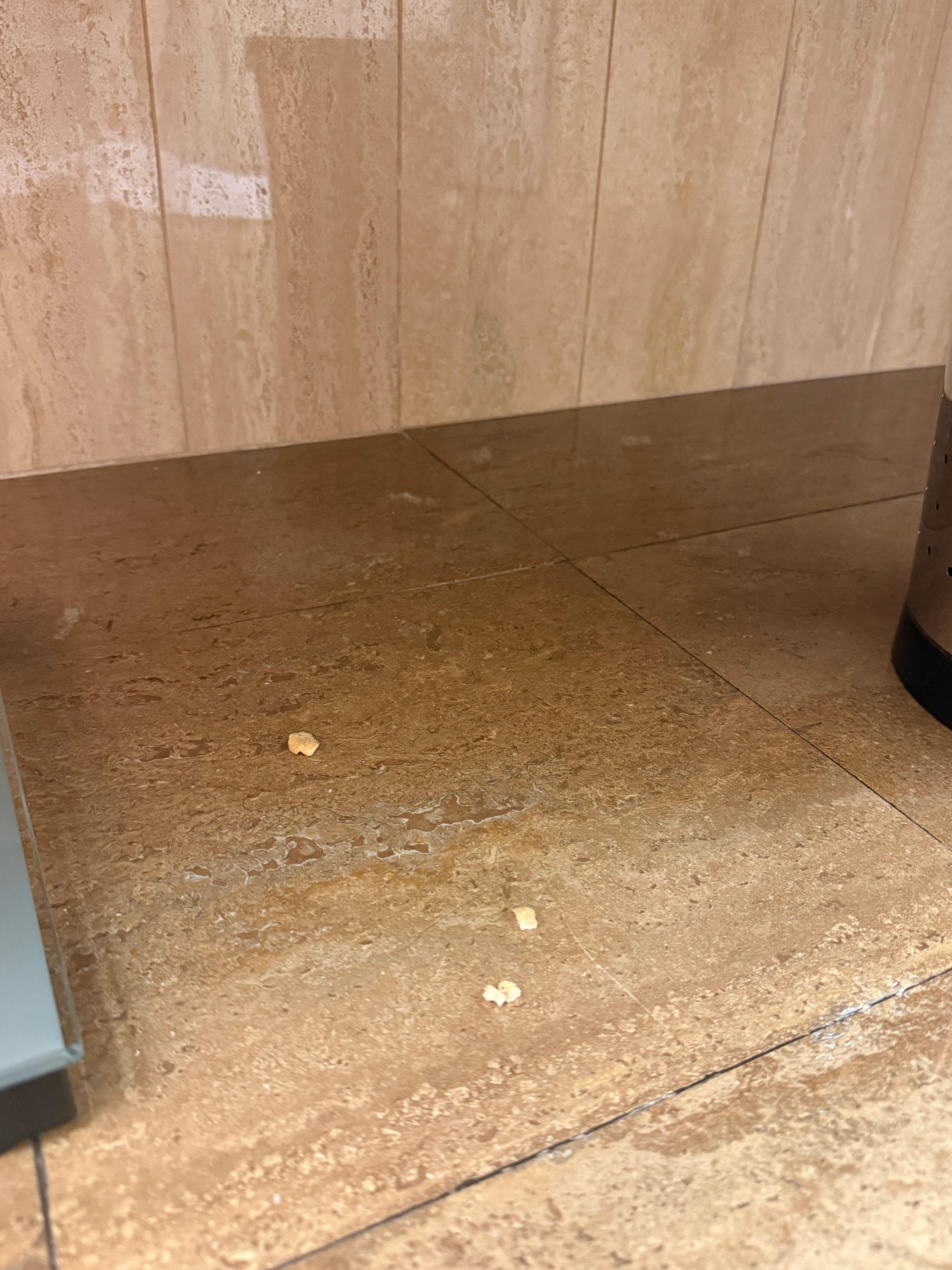 Sujeira desde o primeiro dia embaixo da pia do banheiro.