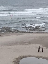 Easy access nearby to explore low tide pools for ocean critters