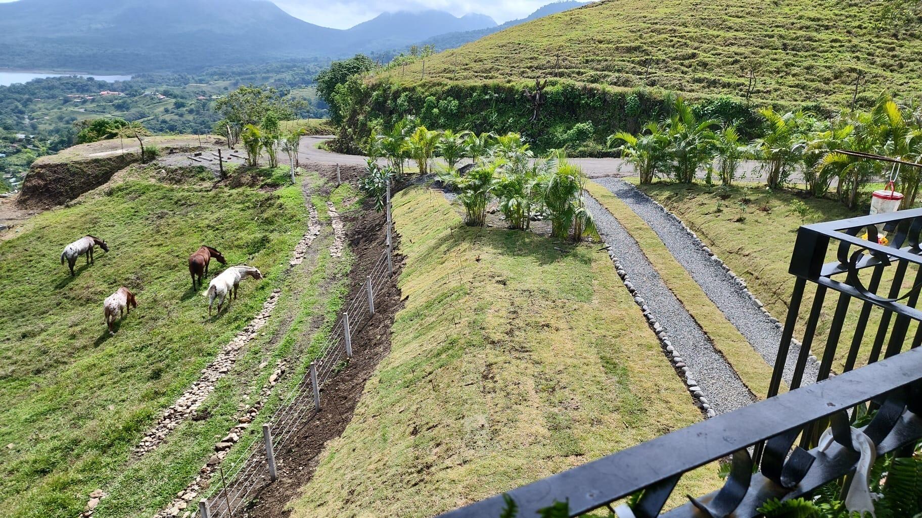 Desde el balcón disfruté de los animales y la vista que tiene esta linda casa, gracias💐