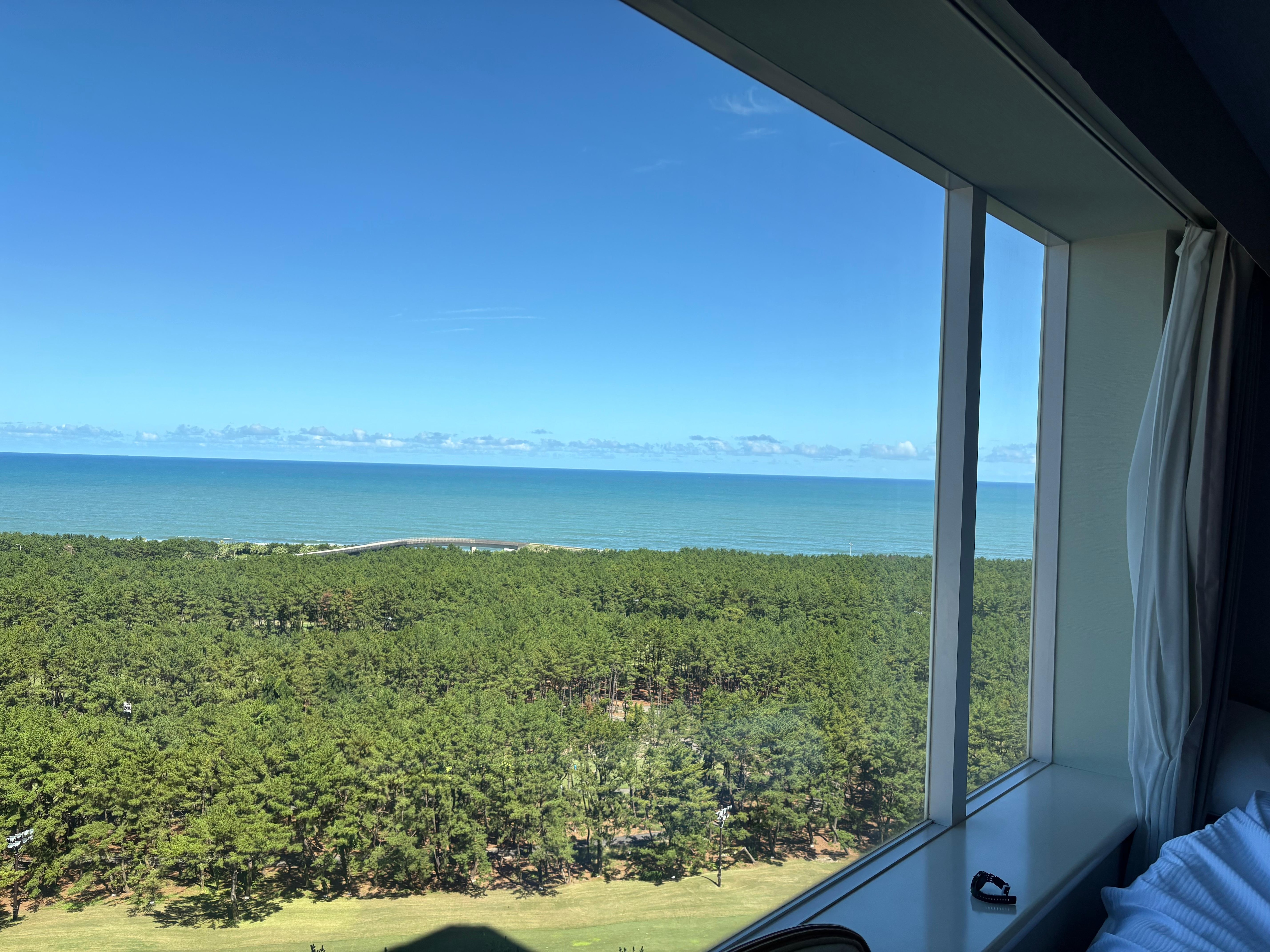 部屋からの景色