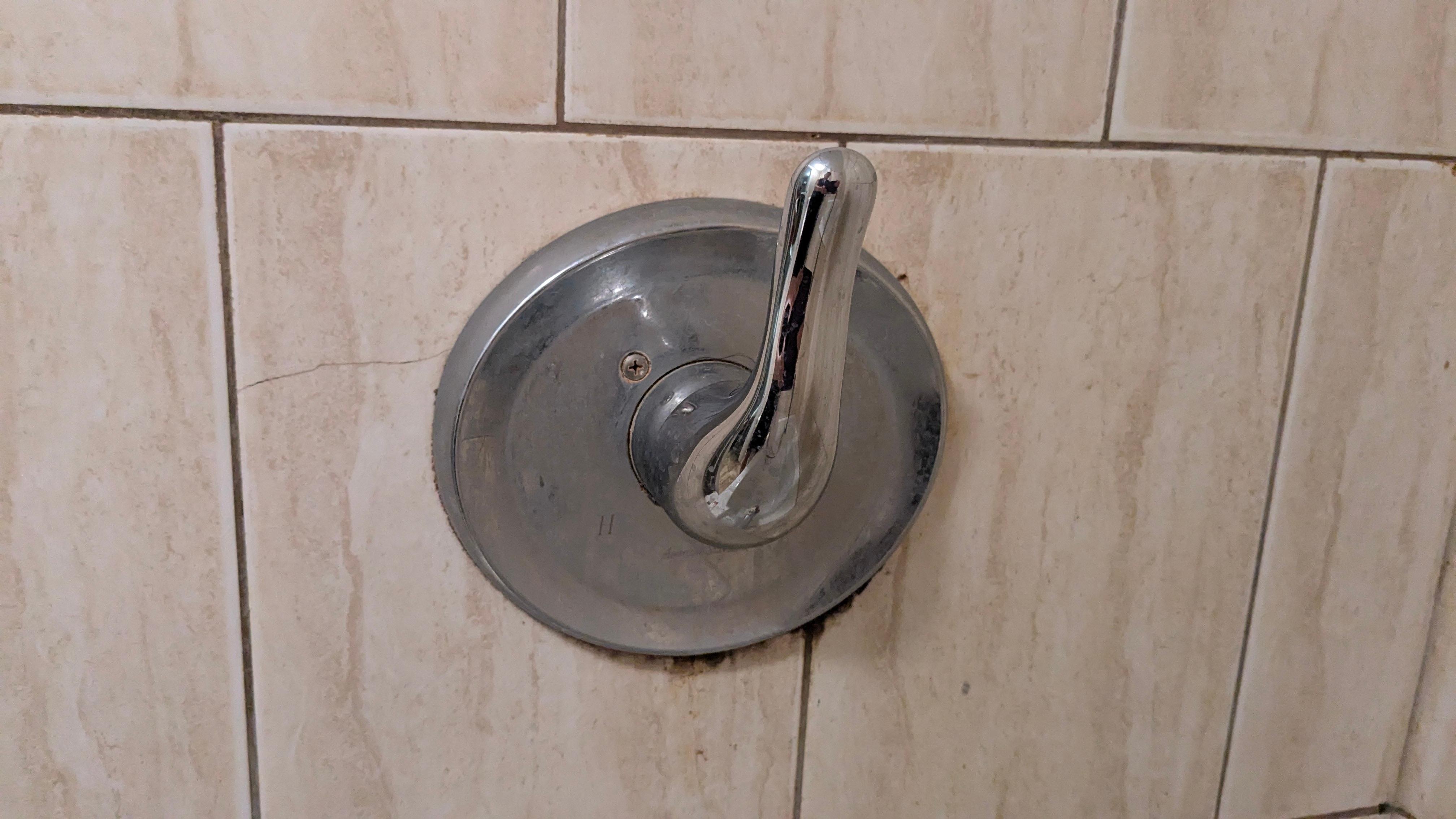 Dirt/mold around the bathtub fixtures 